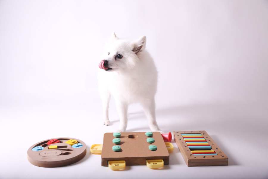 Games To Make Your Dog Smarter