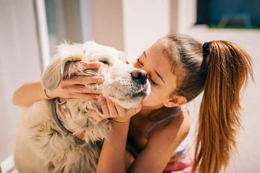 The Way Dogs Choose Their Favorite Person