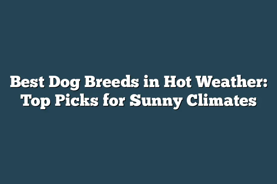 Best Dog Breeds in Hot Weather: Top Picks for Sunny Climates