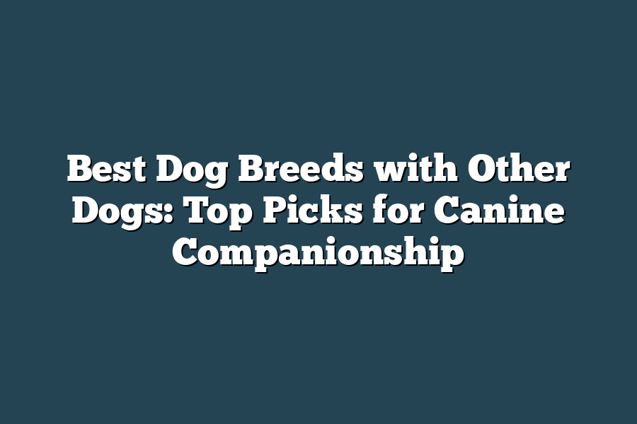 Best Dog Breeds with Other Dogs: Top Picks for Canine Companionship