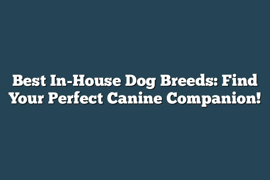Best In-House Dog Breeds: Find Your Perfect Canine Companion!