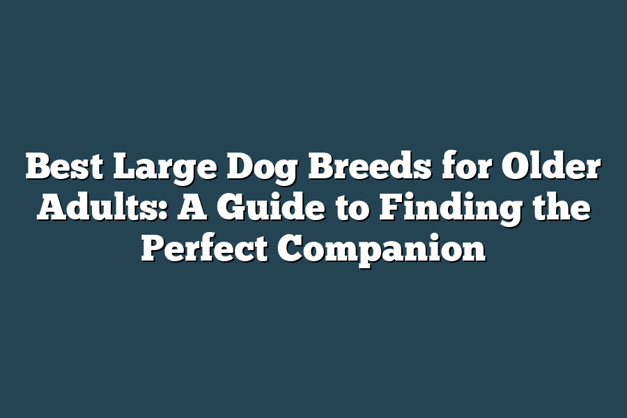 Best Large Dog Breeds for Older Adults: A Guide to Finding the Perfect Companion