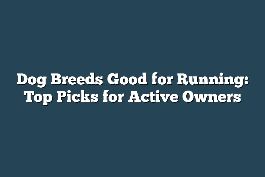 Dog Breeds Good for Running: Top Picks for Active Owners