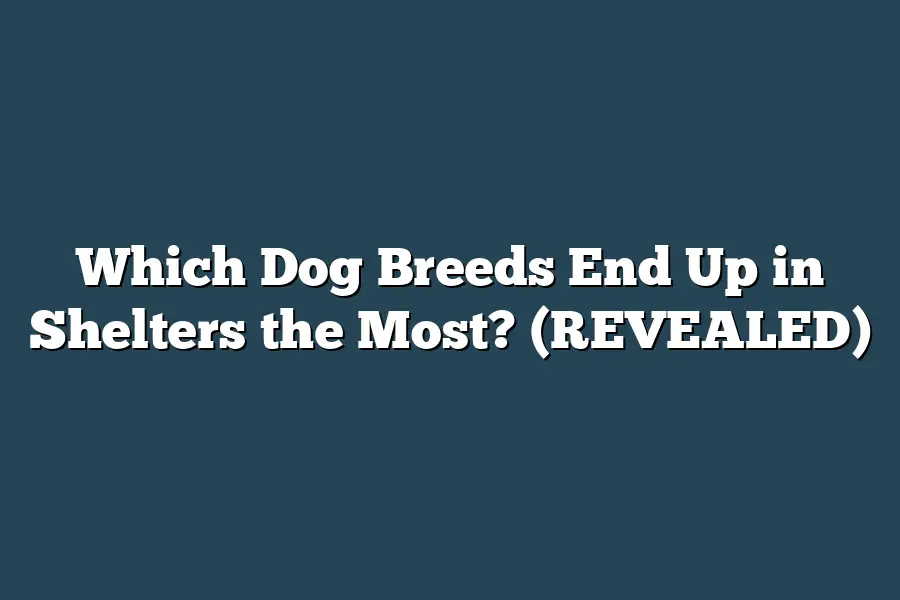 Which Dog Breeds End Up in Shelters the Most? (REVEALED)