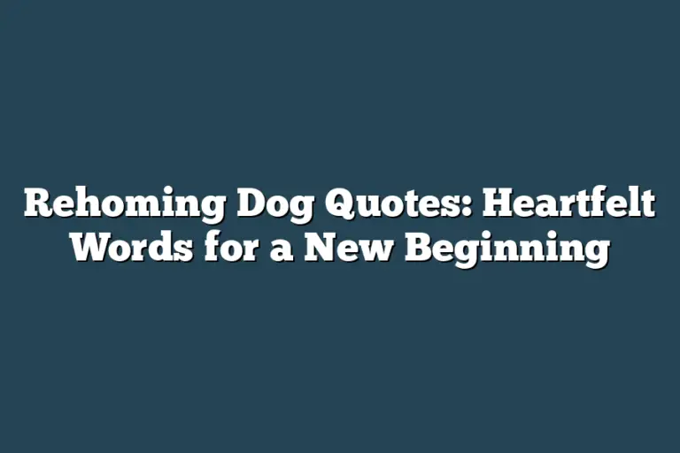 Rehoming Dog Quotes: Heartfelt Words for a New Beginning – Easy Way Pets