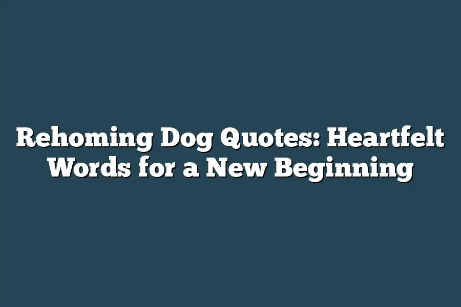 Rehoming Dog Quotes: Heartfelt Words for a New Beginning